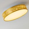 Victoria Plafoniera LED Bianco, 1-Luce