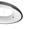 Philips Hue Ambiance White Amaze Lampada a Sospensione LED Nero, 1-Luce, Telecomando