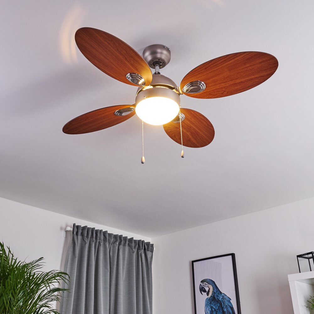 Nicosia ventilatore da soffitto Legno scuro, Nichel opaco, 1-Luce