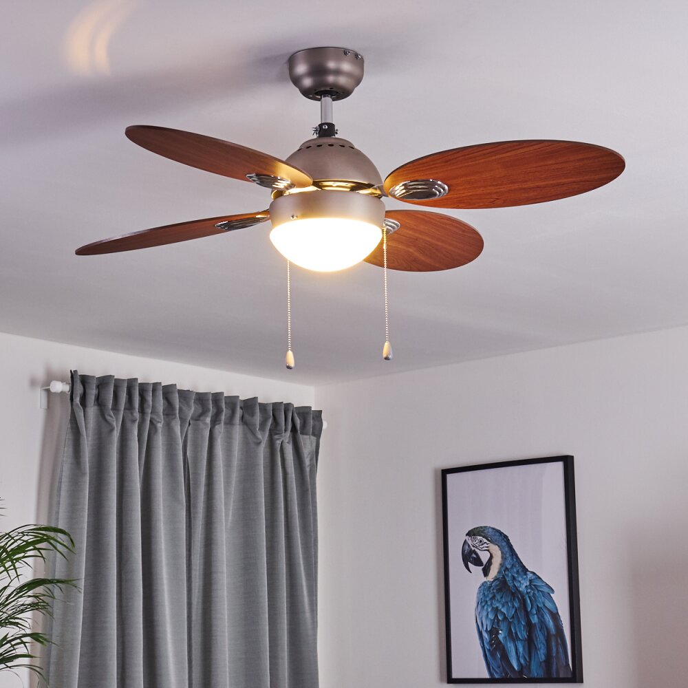 Nicosia ventilatore da soffitto Legno scuro, Nichel opaco, 1-Luce