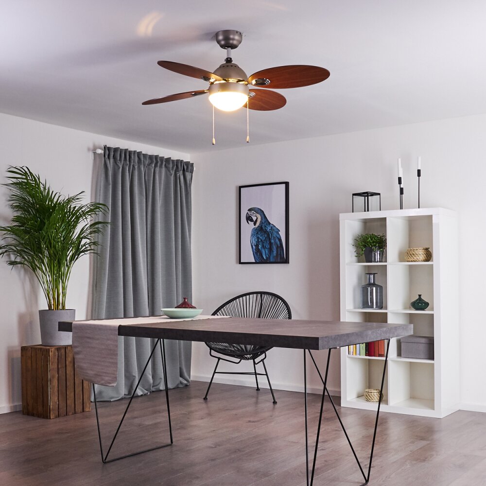 Nicosia ventilatore da soffitto Legno scuro, Nichel opaco, 1-Luce