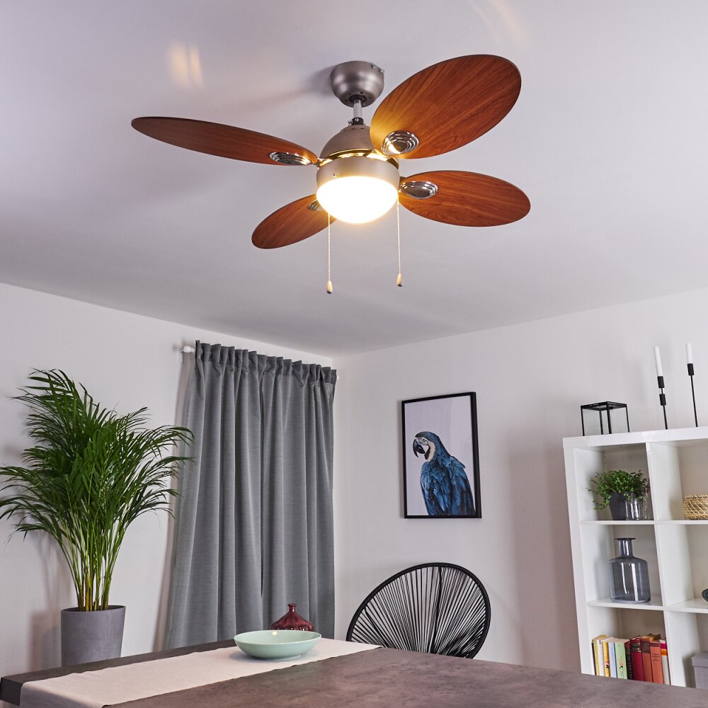 Nicosia ventilatore da soffitto Legno scuro, Nichel opaco, 1-Luce