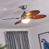Nicosia ventilatore da soffitto Legno scuro, Nichel opaco, 1-Luce