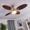 Nicosia ventilatore da soffitto Legno scuro, Nichel opaco, 1-Luce