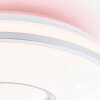 Brilliant Visitation Plafoniera LED Argento, 1-Luce, Telecomando, Cambia colore