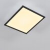 Salmi Plafoniera LED Nero, Bianco, 1-Luce