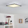 Salmi Plafoniera LED Nero, Bianco, 1-Luce