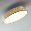 Victoria Plafoniera LED Bianco, 1-Luce