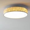 Victoria Plafoniera LED Bianco, 1-Luce