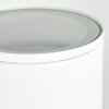 Brachy Applique da esterno LED Bianco, 2-Luci