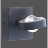 Applique Paul Neuhaus Q-MIA LED Antracite, 2-Luci, Telecomando