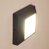 Alkmaar Applique da esterno LED Antracite, 1-Luce