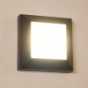 Alkmaar Applique da esterno LED Antracite, 1-Luce