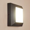 Alkmaar Applique da esterno LED Antracite, 1-Luce