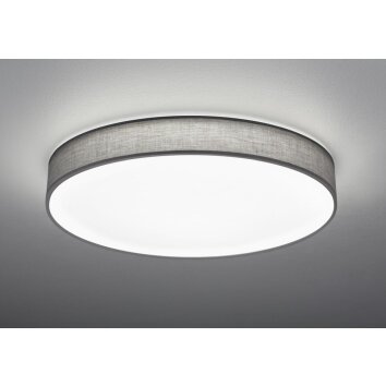 Trio LUGANO Plafoniera LED Grigio, 1-Luce, Telecomando