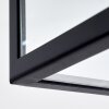 Moatize Plafoniera Nero, 2-Luci