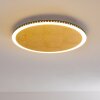 Aitrach Plafoniera LED Oro, 1-Luce