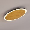 Aitrach Plafoniera LED Oro, 1-Luce