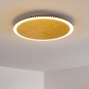 Aitrach Plafoniera LED Oro, 1-Luce