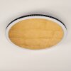 Aitrach Plafoniera LED Oro, 1-Luce