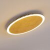 Aitrach Plafoniera LED Oro, 1-Luce