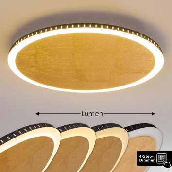 Aitrach Plafoniera LED Oro, 1-Luce