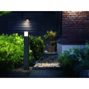 Philips myGarden ARBOUR Lampioncino Segnapasso LED Grigio, 1-Luce