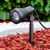 Illuminazione esterna Vordingborg LED Nero, 1-Luce
