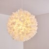 Murten Lampadario a sospensione Bianco, 1-Luce