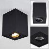 Baishan Plafoniera Nero, 1-Luce