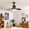 Doha ventilatore da soffitto LED Marrone, 1-Luce, Telecomando