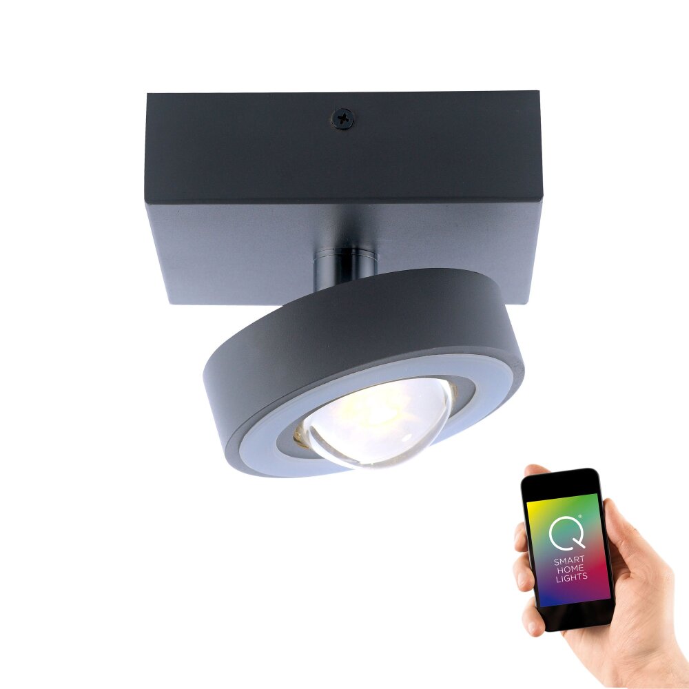 Plafoniera Paul Neuhaus Q-MIA LED Antracite, 1-Luce, Telecomando main product photo