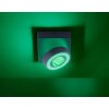 Plafoniera Paul Neuhaus Q-MIA LED Antracite, 1-Luce, Telecomando