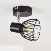 Plafoniera Bolderslev Cromo, Nero, 1-Luce