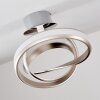 Woyens Plafoniera LED Acciaio satinato, 1-Luce