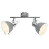 Globo Gerda Faretto da soffitto Grigio, 2-Luci