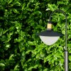 Theux Lampioncino Segnapasso Nero, 1-Luce