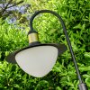 Theux Lampioncino Segnapasso Nero, 1-Luce