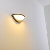 Carano Applique da esterno LED Nero, 1-Luce, Sensori di movimento