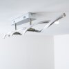 Paul Neuhaus POLINA Plafoniera LED Acciaio inox, 2-Luci