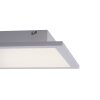Plafoniera Paul Neuhaus Q-Flag LED Bianco, 1-Luce, Telecomando