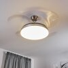 Bendigo ventilatore da soffitto LED Cromo, 1-Luce