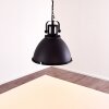 Jonsered Lampadario a sospensione Nero, 1-Luce