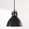 Jonsered Lampadario a sospensione Nero, 1-Luce