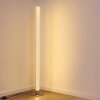 Pipe Lampada da terra LED Nichel opaco, 1-Luce, Telecomando, Cambia colore