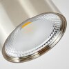 Kristallo Plafoniera LED Nichel opaco, 1-Luce