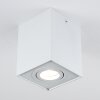 Baishan Plafoniera Bianco, 1-Luce