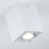 Baishan Plafoniera Bianco, 1-Luce