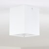 Baishan Plafoniera Bianco, 1-Luce