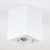 Baishan Plafoniera Bianco, 1-Luce